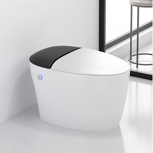 Elongated One Piece Toilet WaterSaving Toilet with Flushing & Reviews Wayfair